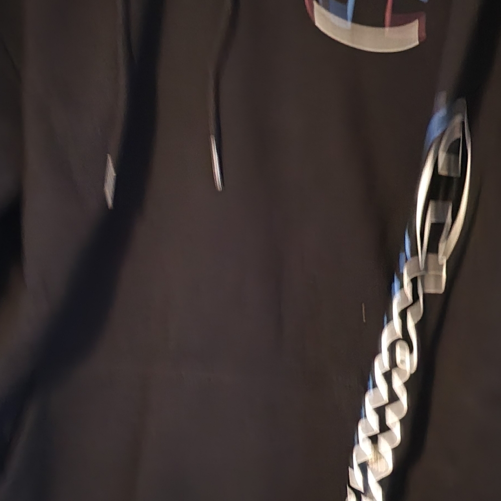 Champion Hoodie
